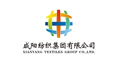 xianyang company